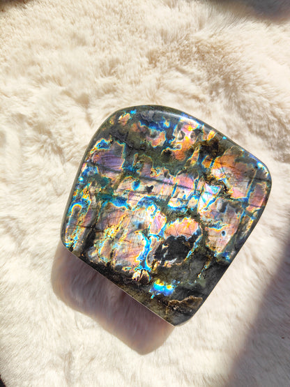 Labradorite -Forme libre (1637 g)